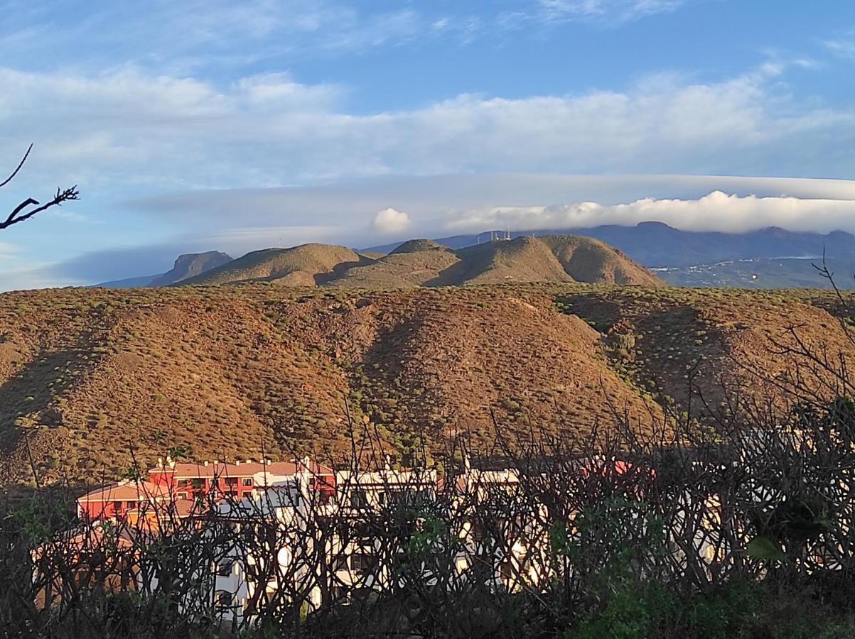 C101 Los Balandros 滨海帕尔姆 外观 照片